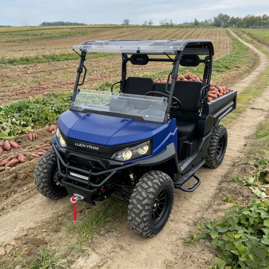 73,6V 4WD UTV 10kw AC Κινητήρας EPS Τιμόνι 150ah Μπαταρία